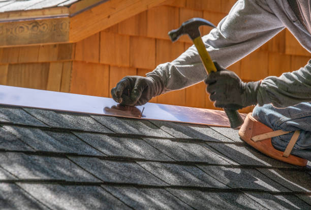 Best Roof Insulation Installation  in Lutz, FL