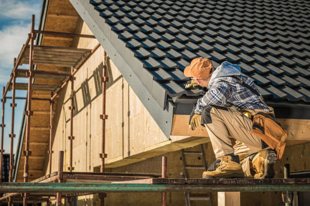 Best Siding  in Lutz, FL