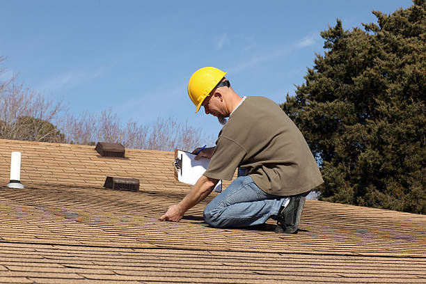 Trusted Lutz, FL Roofing services Experts